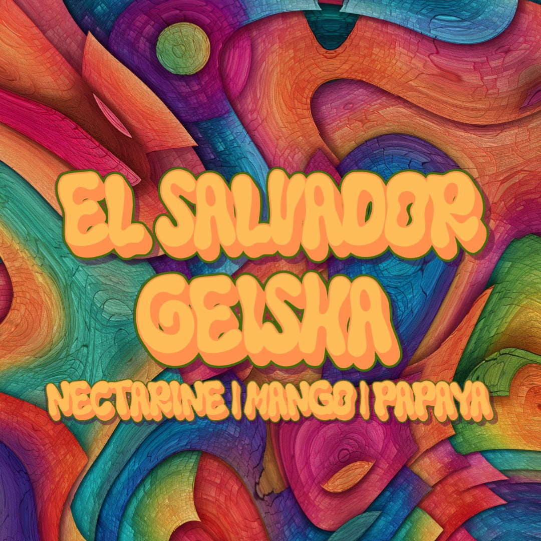 El Salvador Geisha Pour Over/Filter 150g Tin-thumbmail-1
