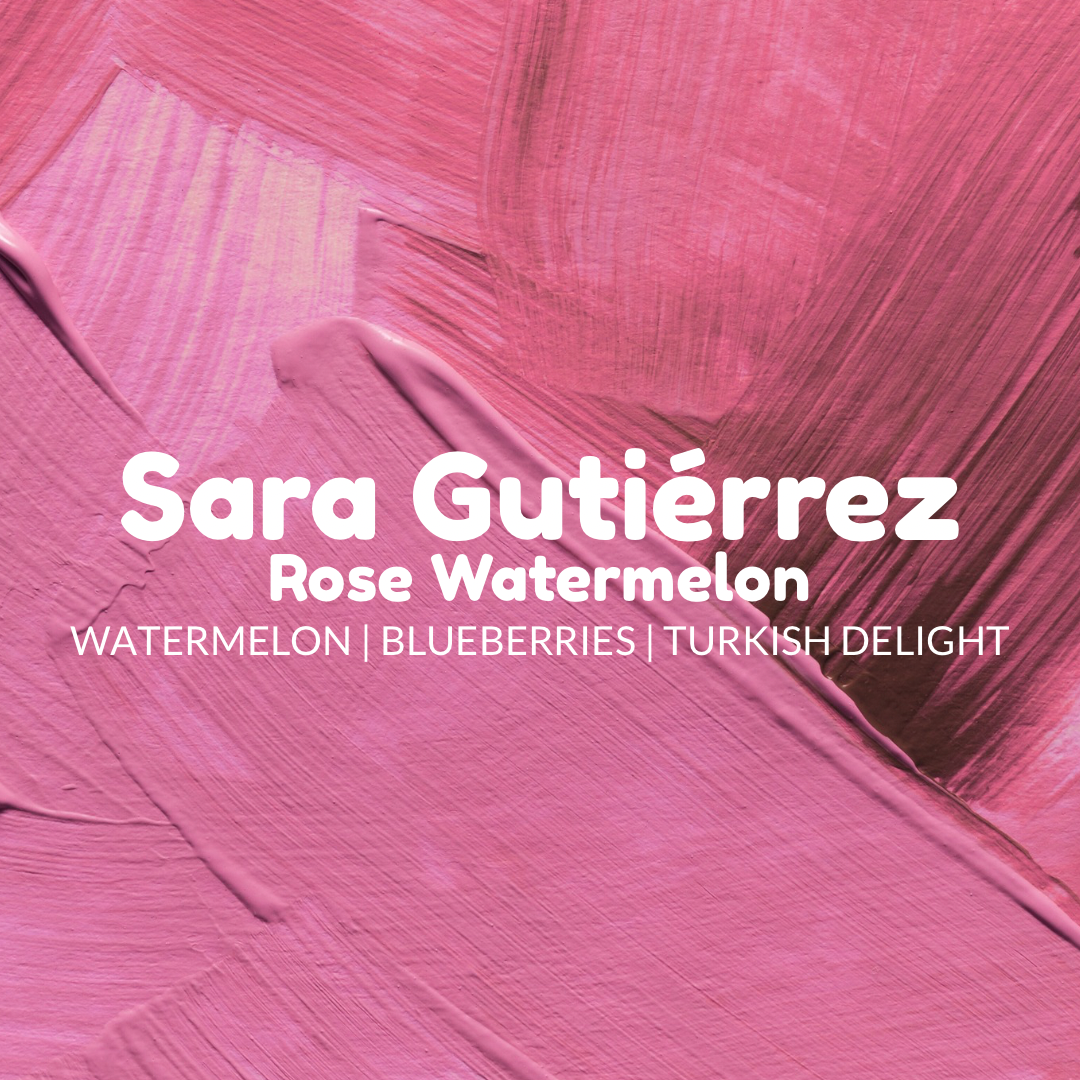 Sara Gutiérrez Rose Water Melon 250g Tin (Filter Roast PRE SALE, Roasted & Shipped Aug 31st)