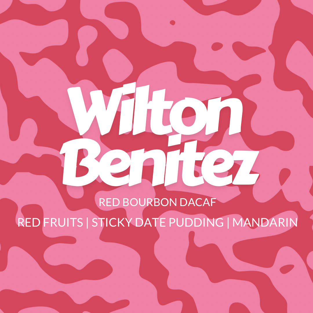 Wilton Benitez Red Bourbon Decaf Espresso Roast