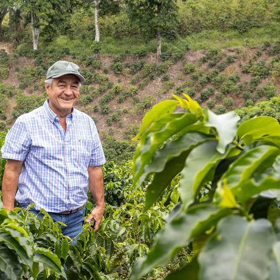 20% OFF Pre Order May 5th Jairo Arcila Peach Co-Ferment (250g Tin Omni Roast)