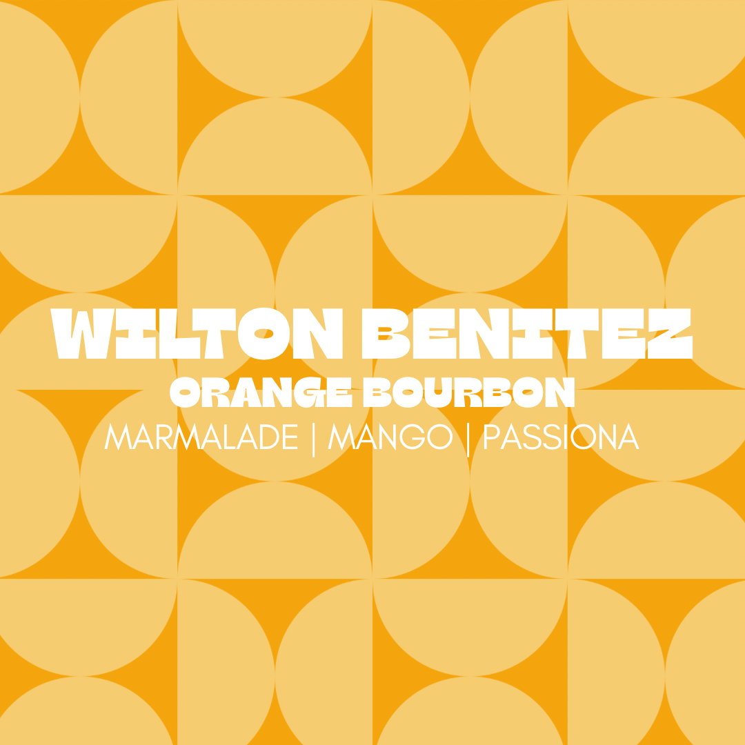 Wilton Benitez Orange Bourbon 150g tin (Filter Roast PRE SALE, Roasted & Shipped Aug 31st)