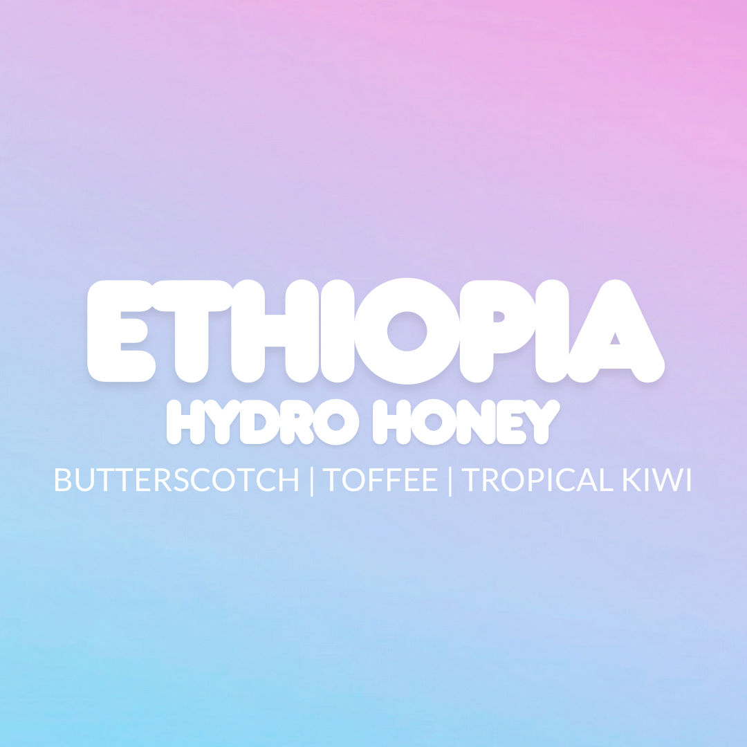Ethiopia Hydro Honey (Omni Roast PRE SALE, Roasted & Shipped August 31st 31st)