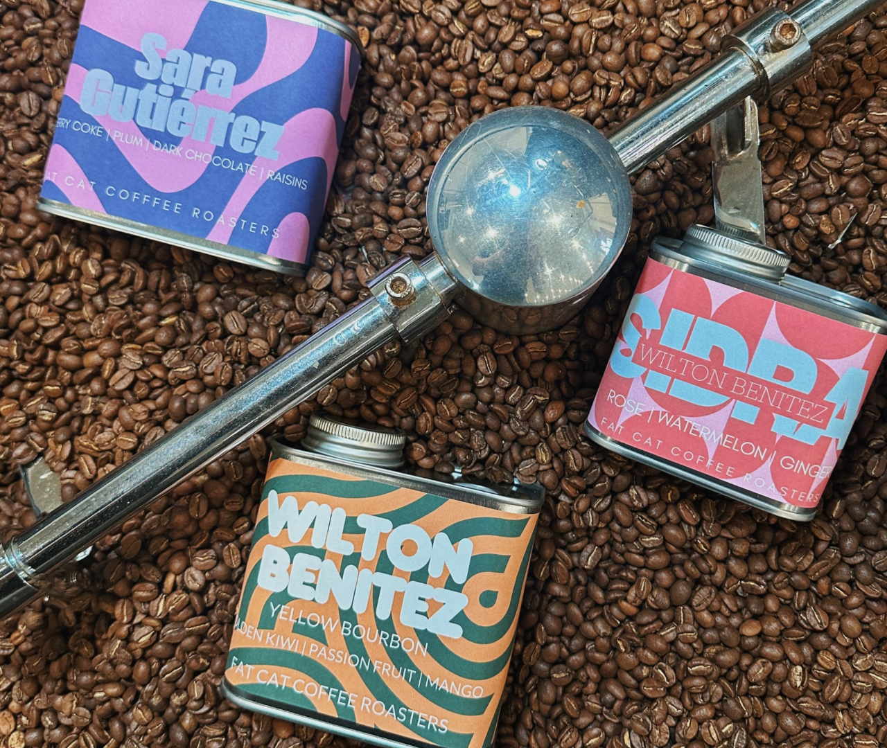 New Release Bundle Pack - Whole Bean Only
