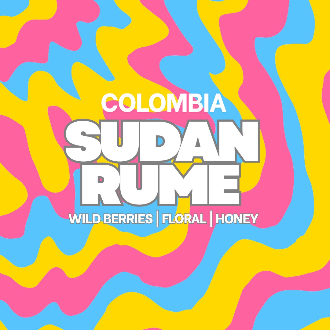 Colombia Sudan Rume 250g Tin (Pre Sale Filter Roast 20% Off Available 20th Jan)
